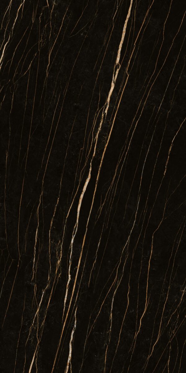 Black Gold - Image 3