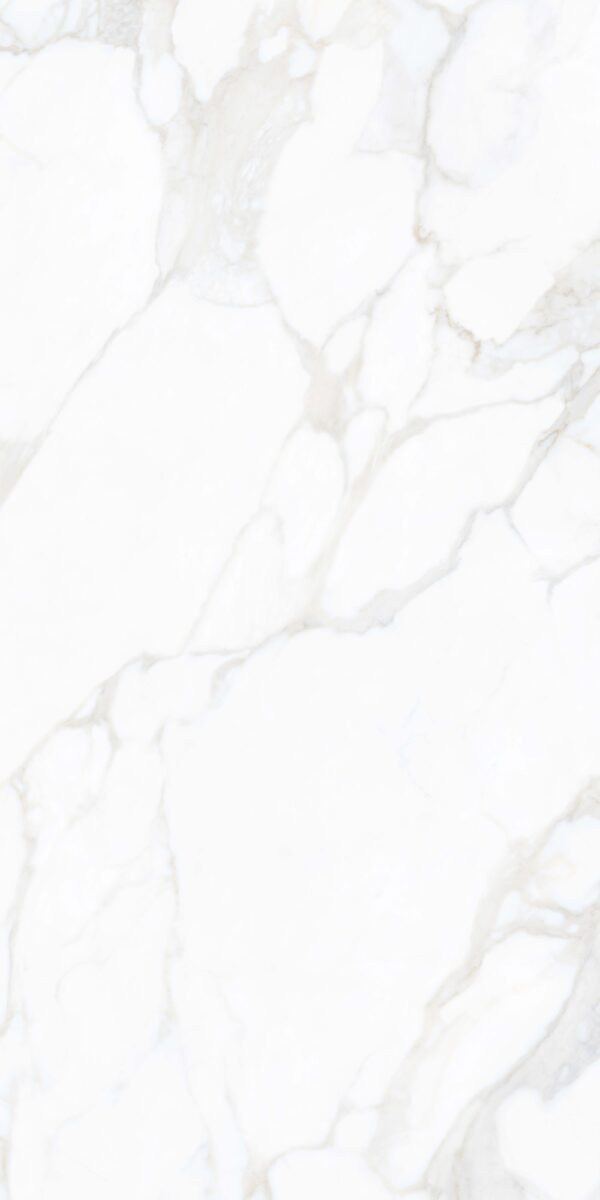 Calacatta Light - Image 4